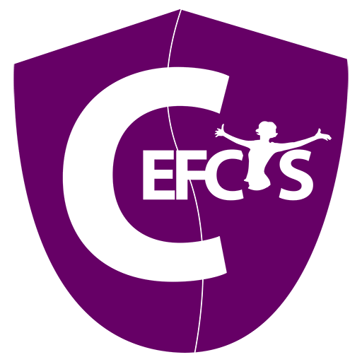 CEFCYS-logo-512 CEFCYS : Cercle des femmes de la cybersécurité